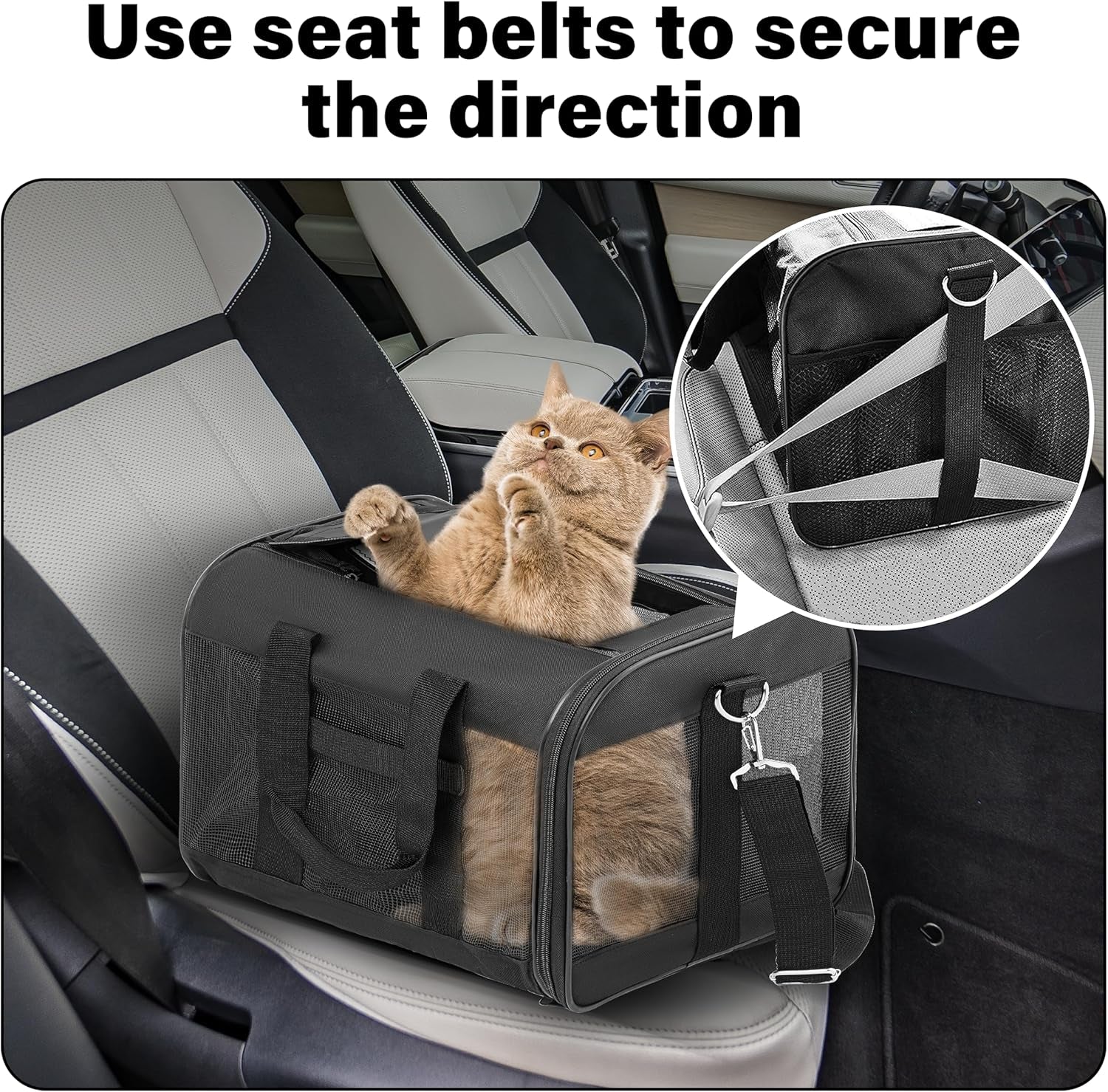 Pet Travel Carrier Soft Sided Portable Bag for Cats, Small Dogs, Kittens or Puppies 17 Lbs Max, Collapsible, Durable, Airline Approved, Travel Friendly (Medium)